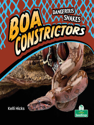 cover image of Boa Constrictors